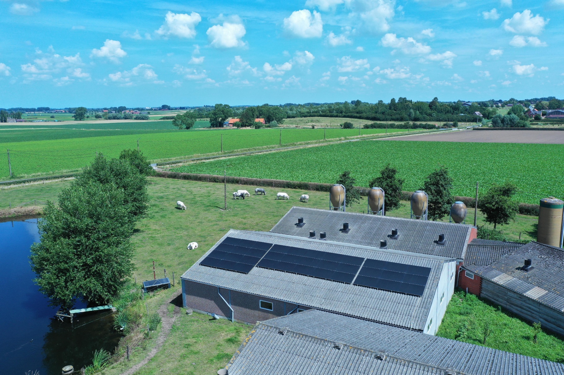 Industriële zonnepanelen op bedrijfsdak — Solarnation zakelijke energieoplossingen
